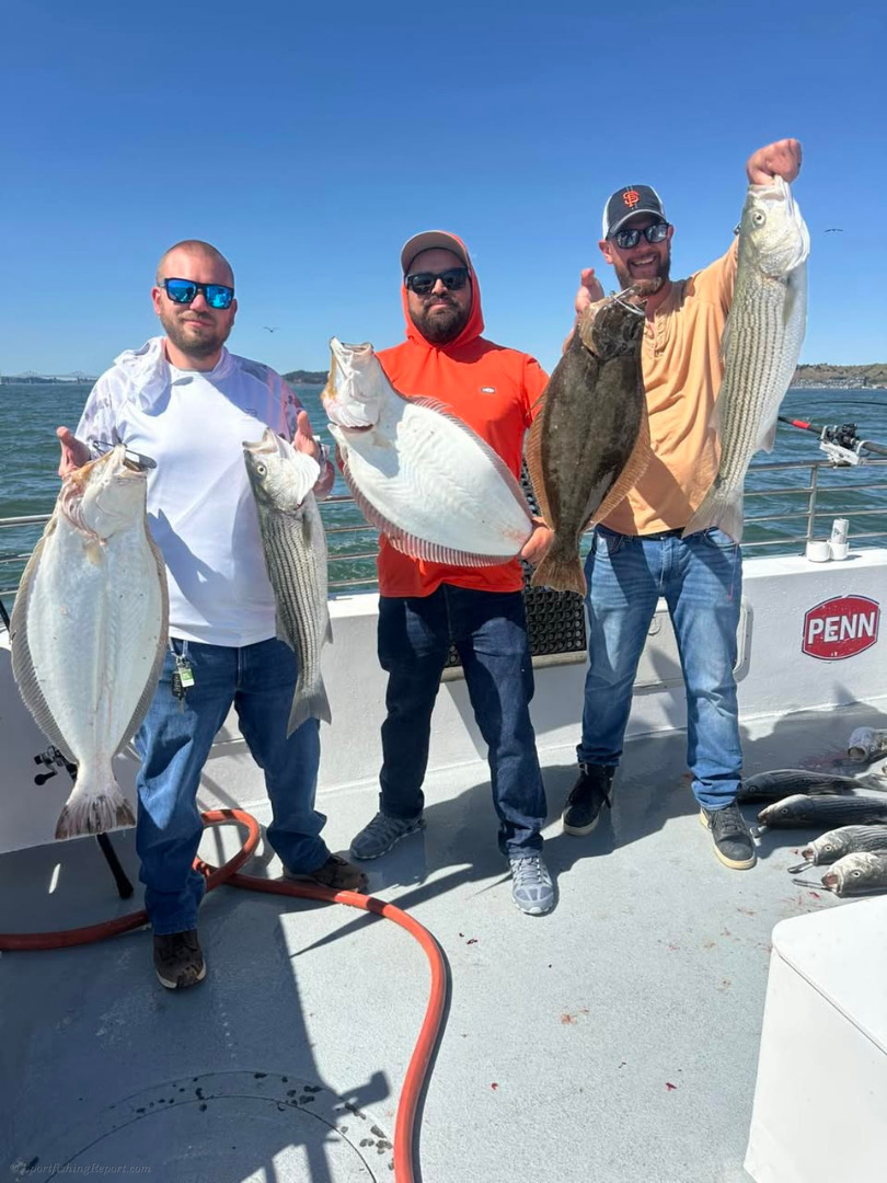 Solid bay fishing with beautiful weather today
