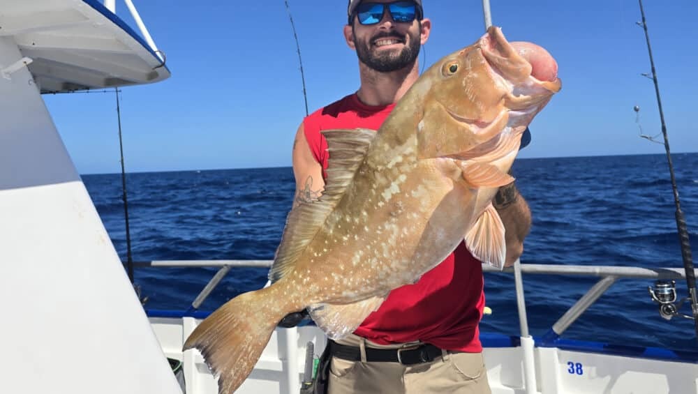 Hubbard’s Marina Fishing Report 4-19-26