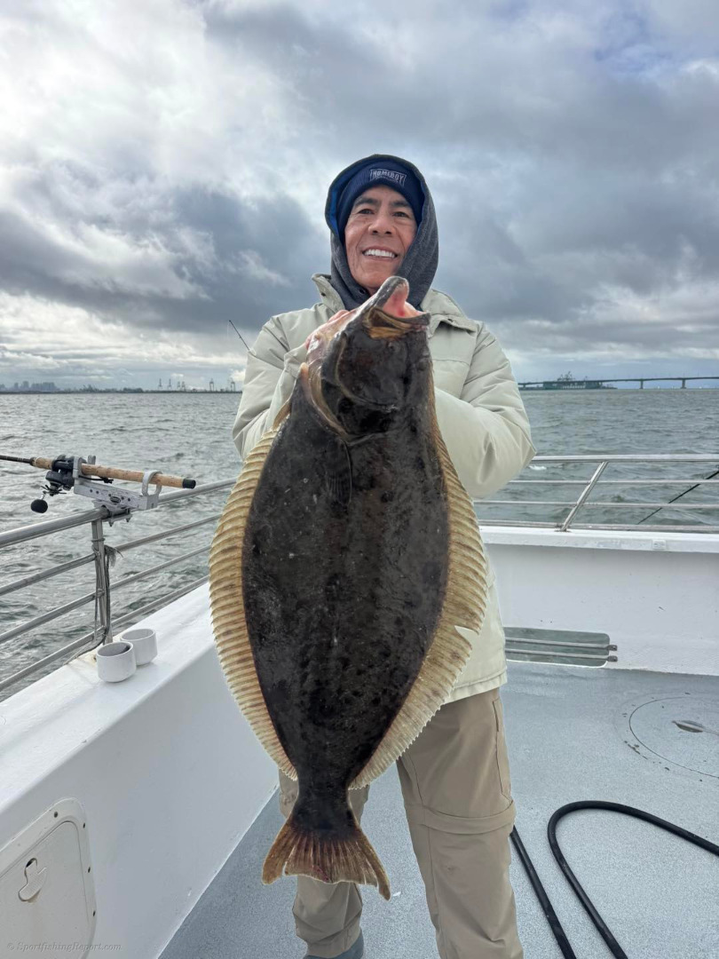Solid halibut bite today