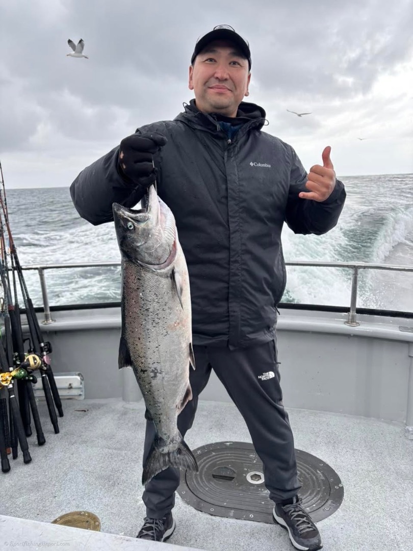 Lots of Action today on the hog Heaven