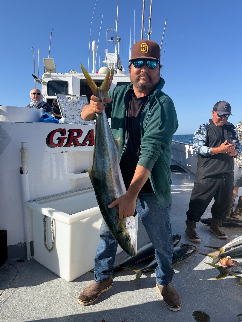 Island yellowtail bite is hot!