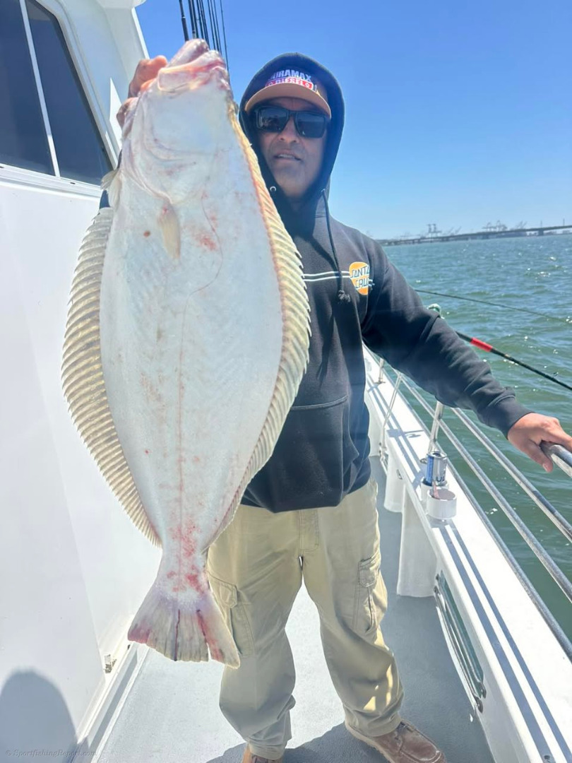 We had a rebound from yesterday and got into some decent fishing