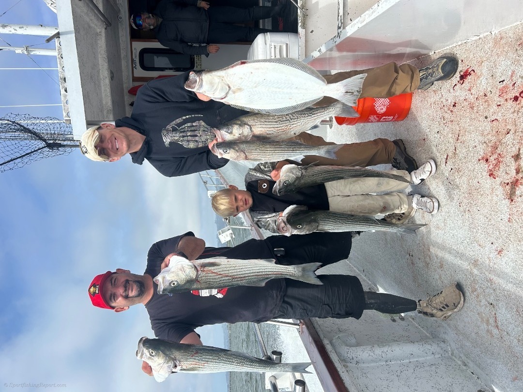 Striped bass and halibut 
