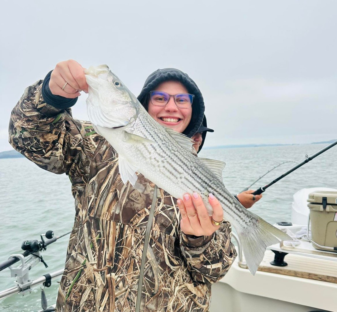 Plenty of stripers and a few halibut today