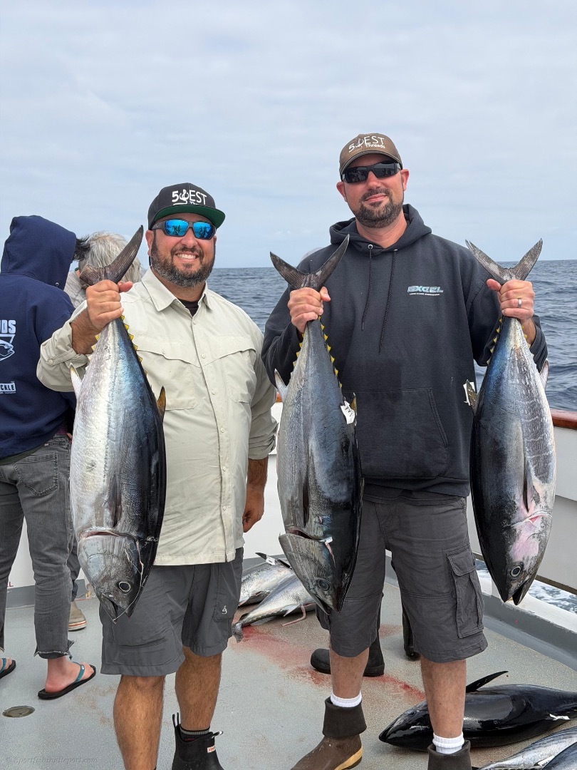 Offshore action!