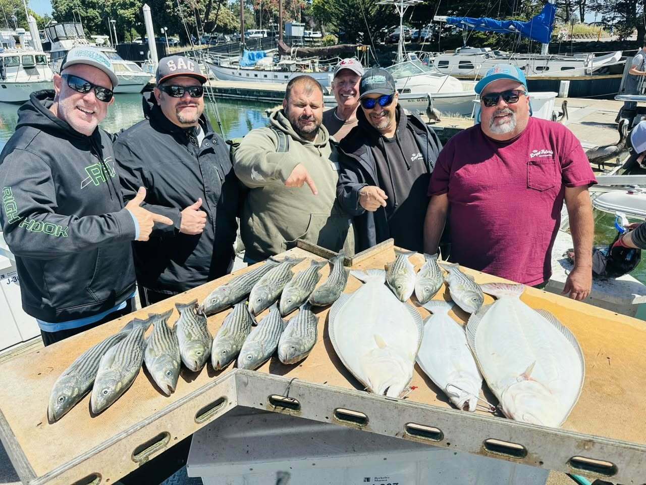 LIMITS of stripers and 3 halibut