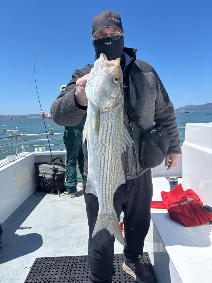 California Dawn Saturday Report