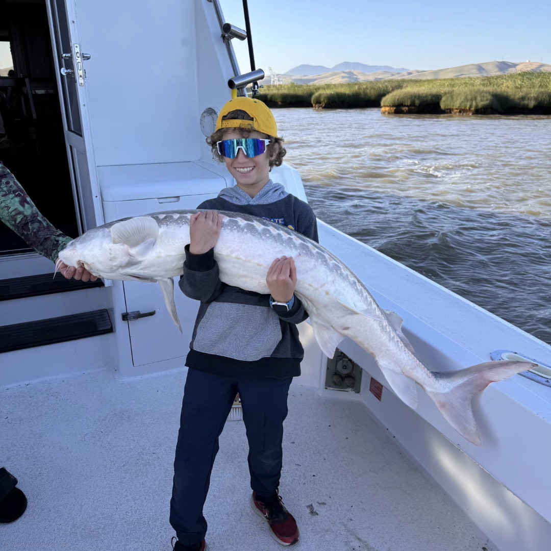 Big Fish, Bigger Memories