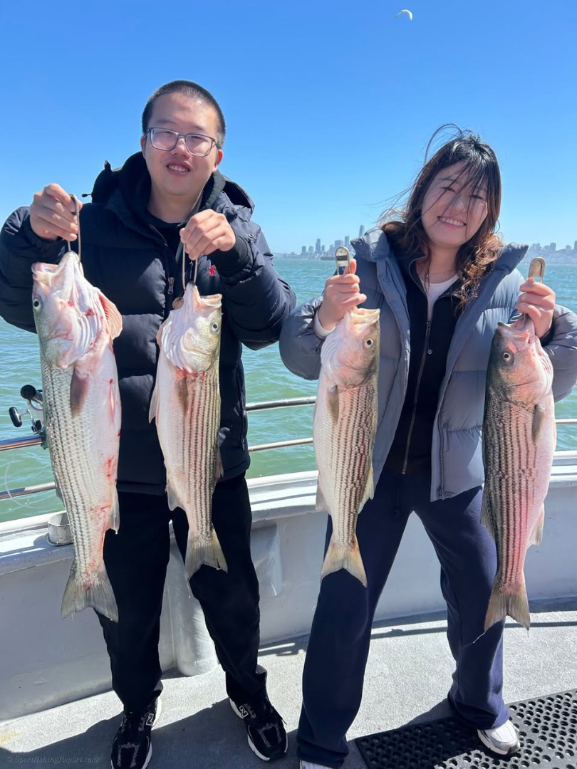 Sea Wolf Catch Up Report