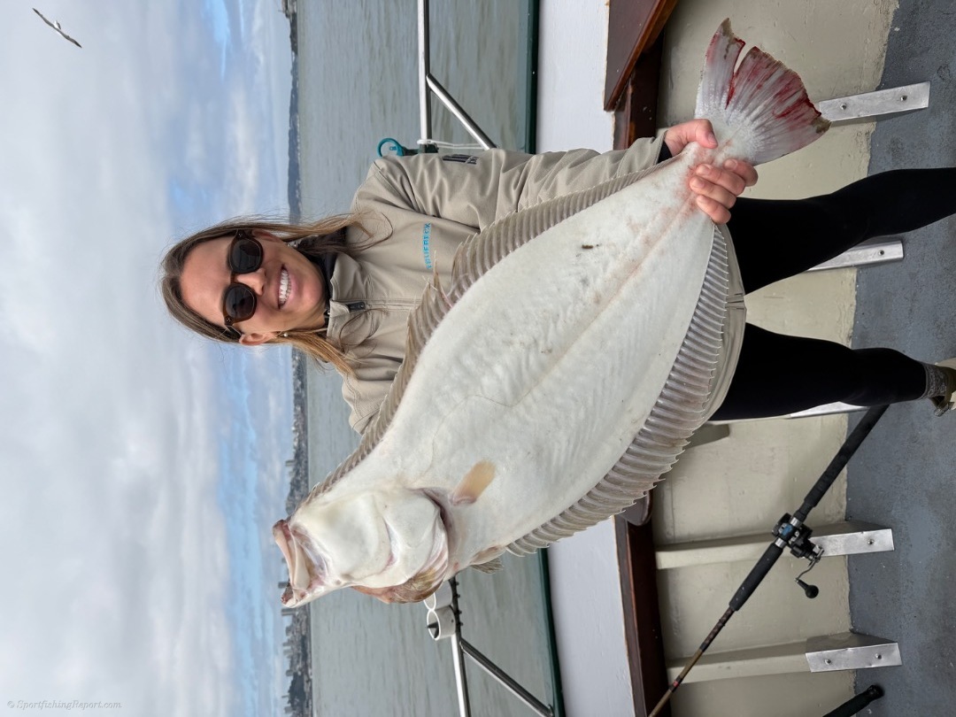 Over a fish a rod!