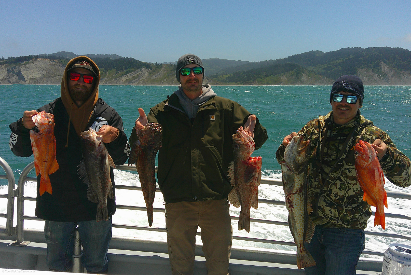 Cape Mendicino Rockfish Day