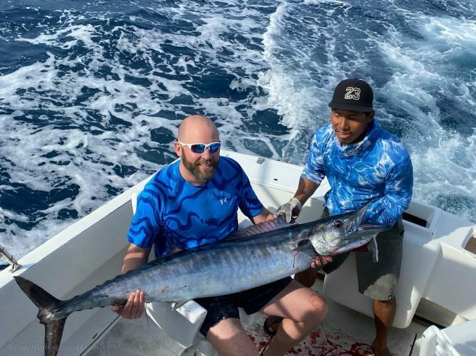  One 50 LB. Striped Marlin and One 60 LB. Wahoo