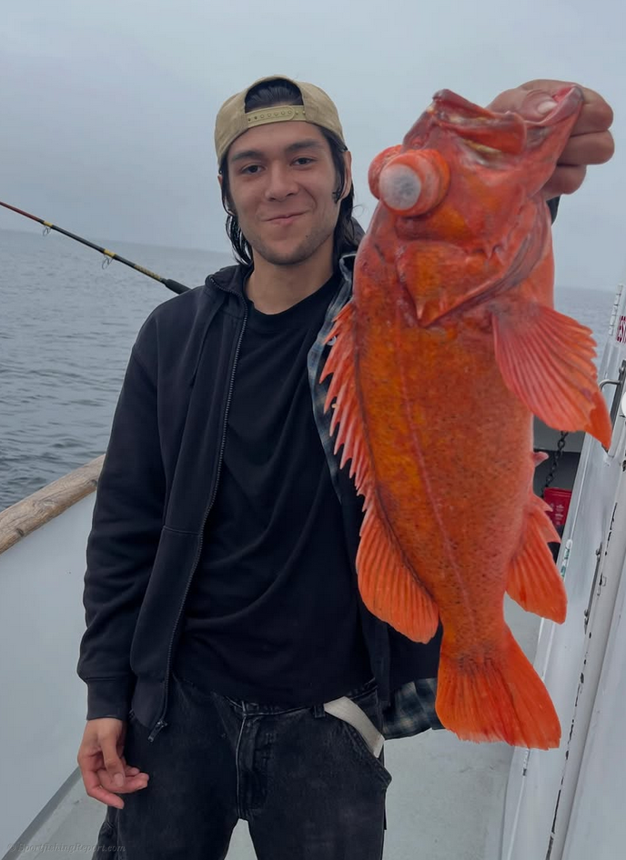 Fishing at the local island has been excellent lately