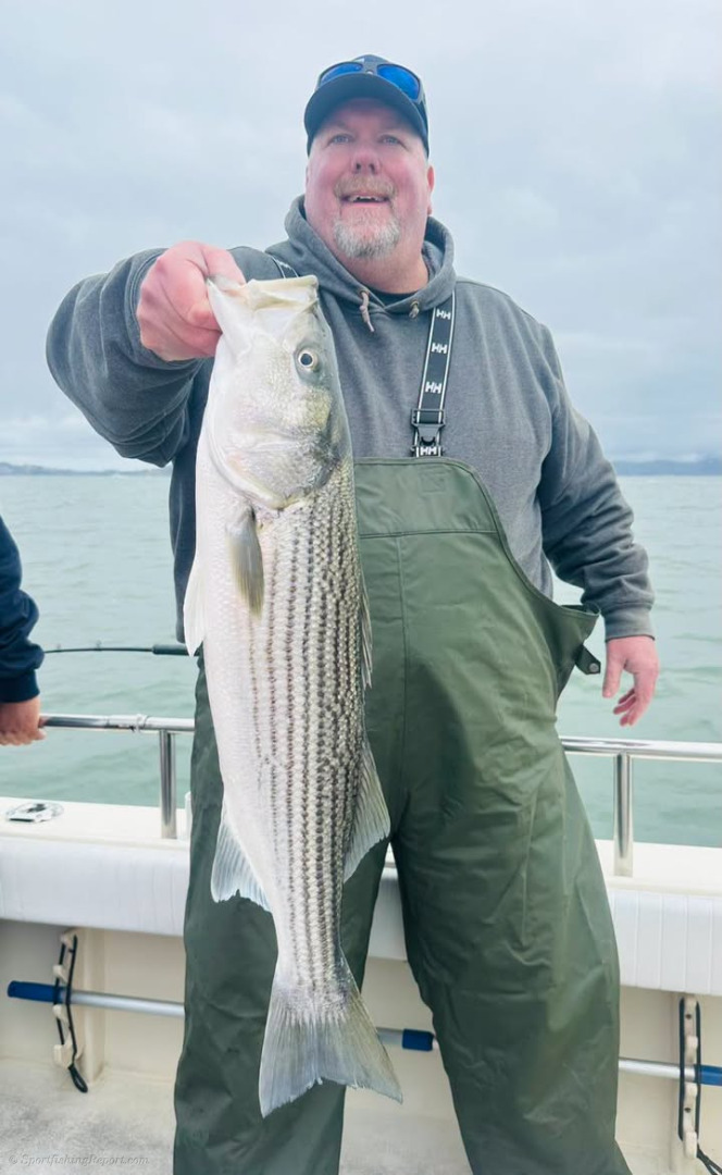 Wide open Striper bite