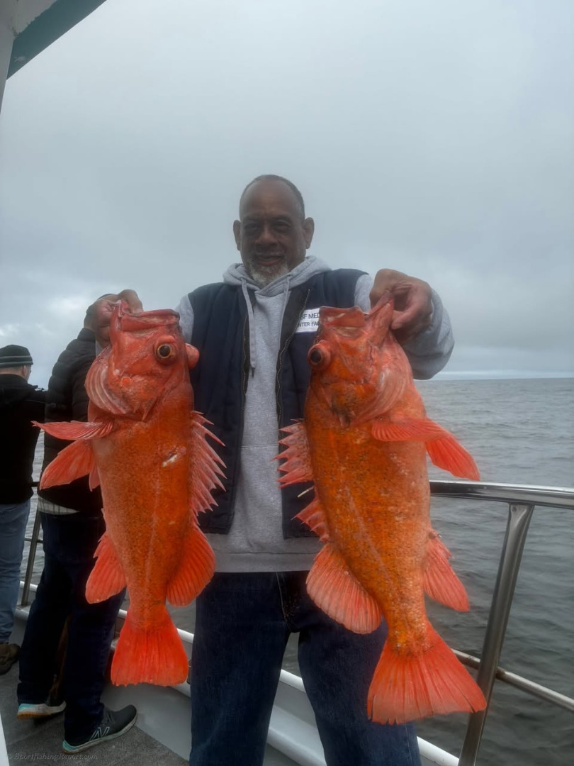 Sea Wolf last couple of days