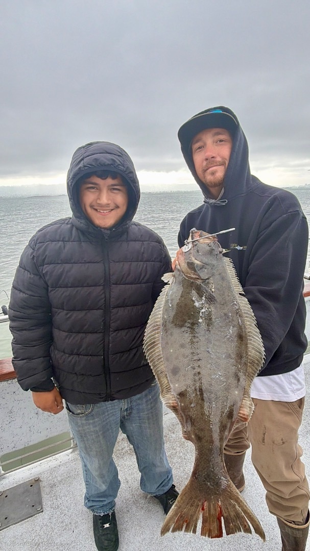 Bass and halibut