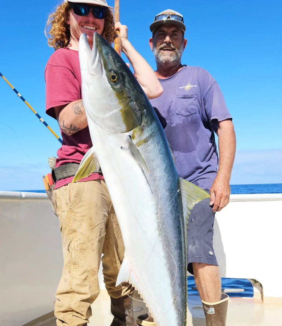 Bluefin Playing Hard to Get