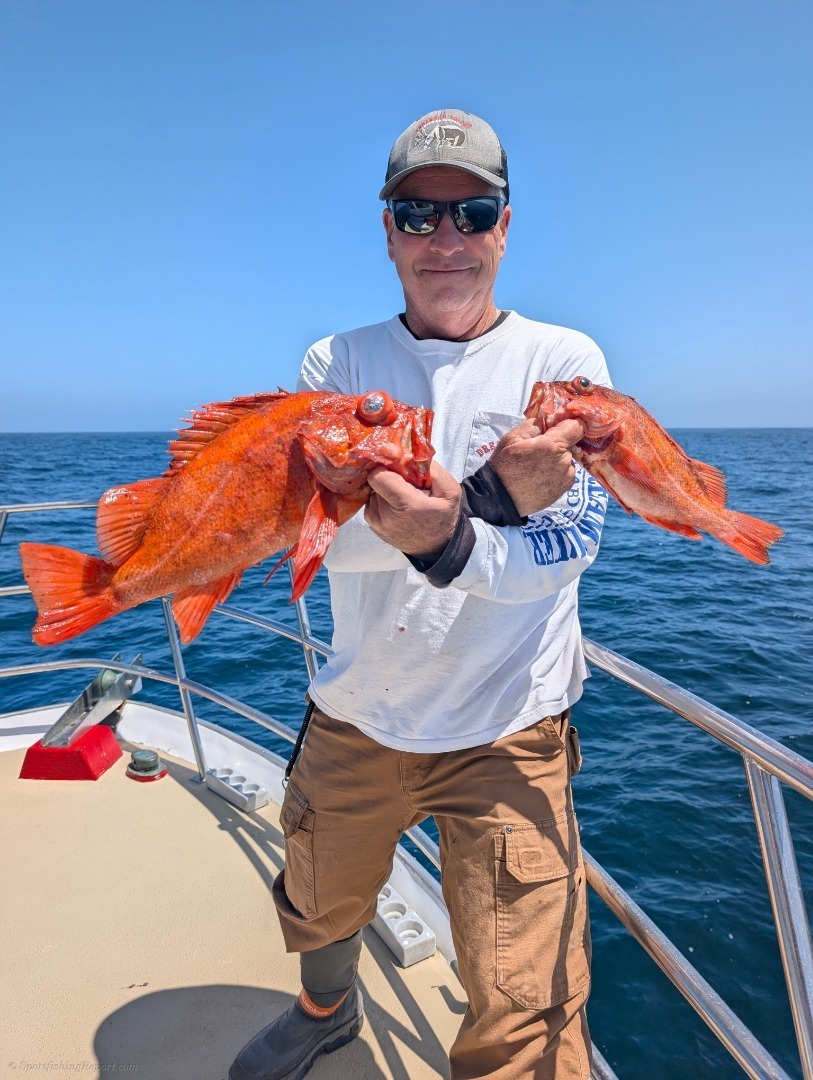 Limits of Rockfish