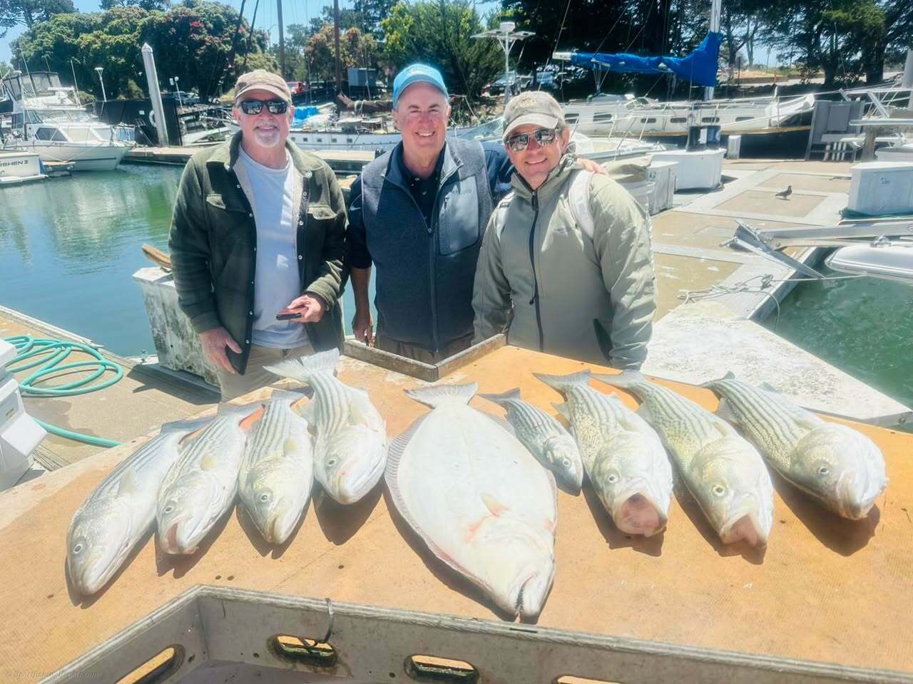 Great bass bite and a beautiful Halibut