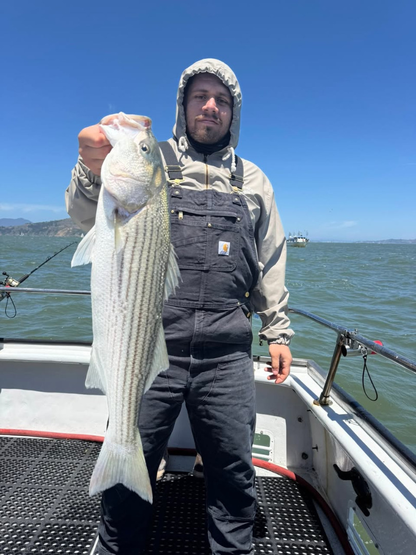 Another fantastic day on the Bay