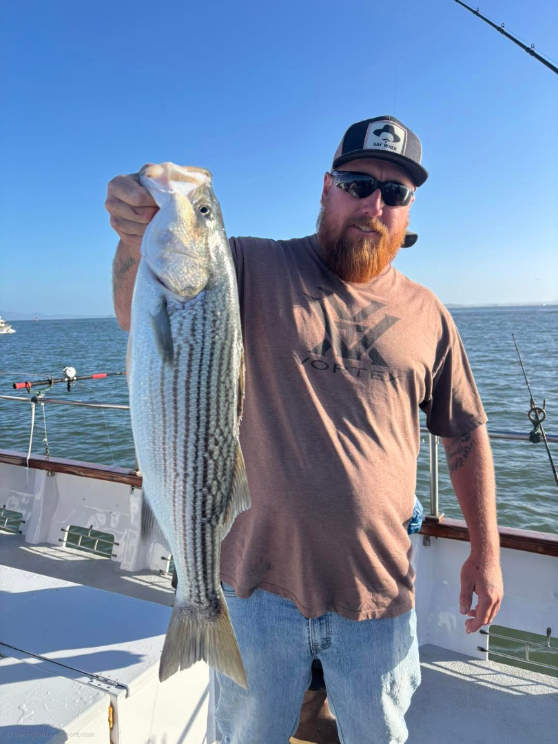 Solid bass fishing today
