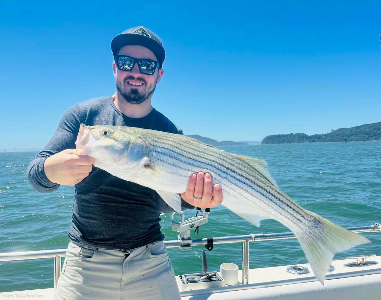Excellent Striper Fishing