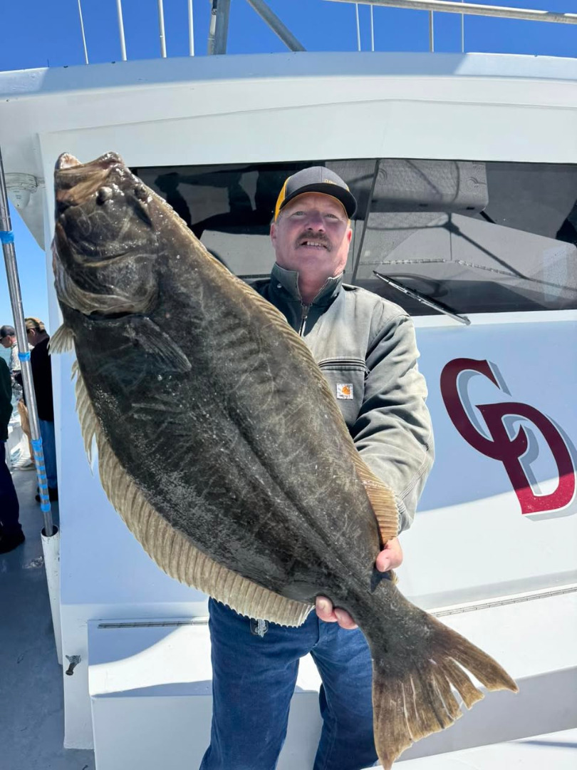 Halibut to 21 pounds 