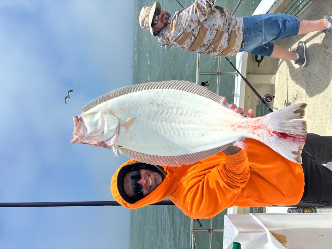 Live bait action