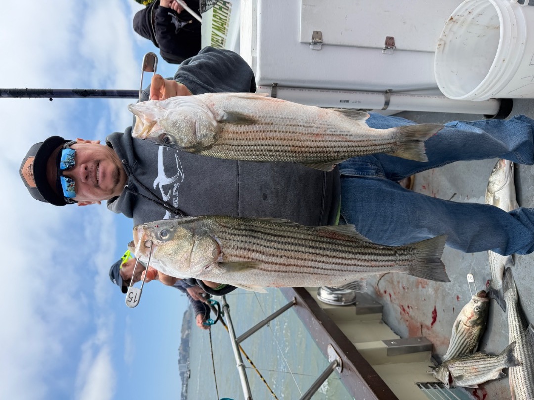 Striped bass fishing continues to be excellent