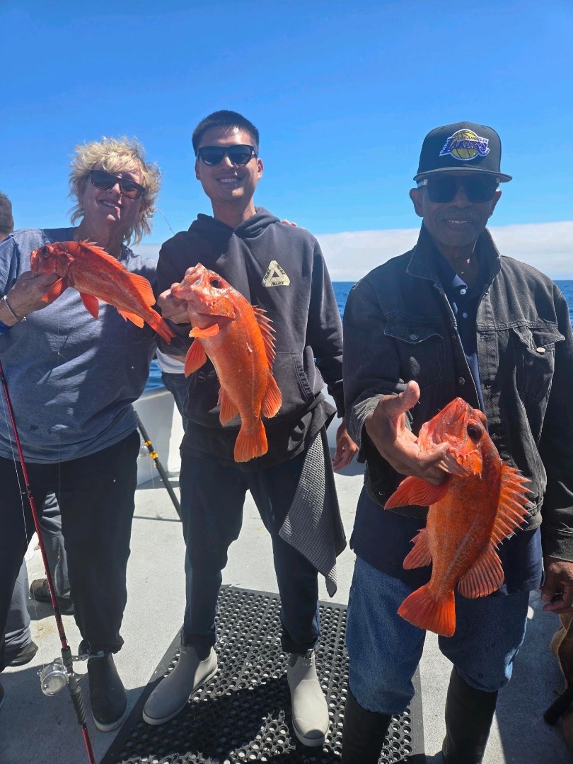 Fish report 06/18/2026