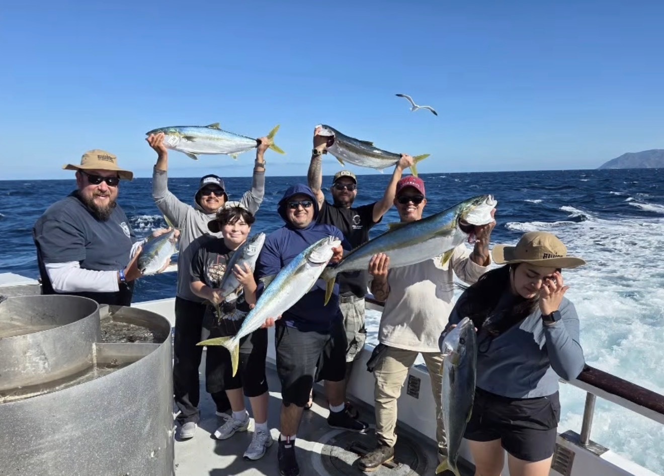 Yellowtail up to 30lbs.