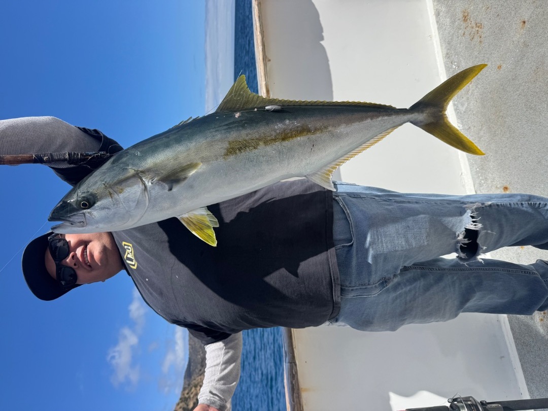Enterprise fish report 06/20/2026