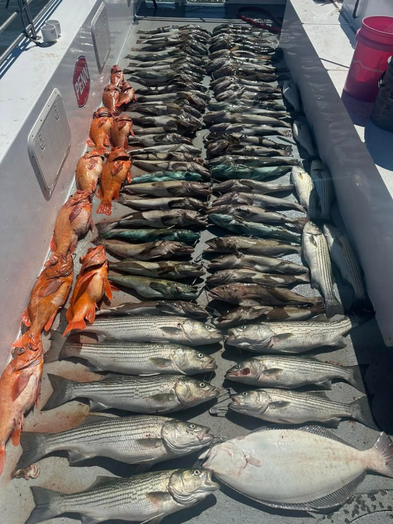 Epic fishing on the water today