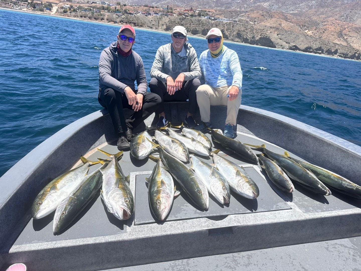 Limits of Yellowtail 