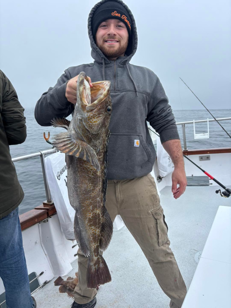 Finding lots of big lings, reds, bass and halibut