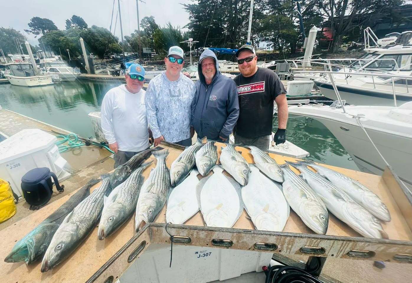 Super fast pace Striper bite today