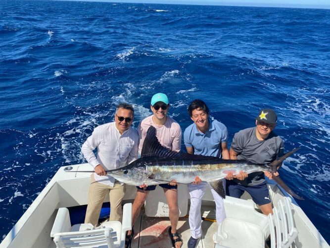 Caught and Released 3 Striped Marlin