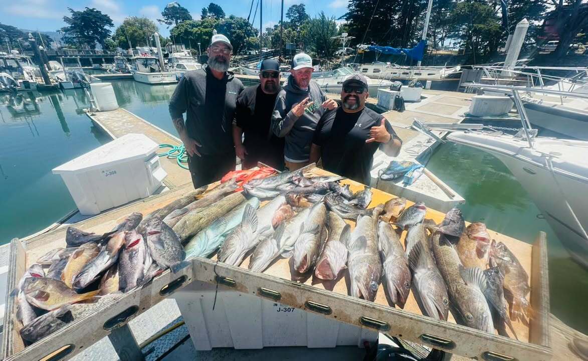 Limits of lingcod and rockfish