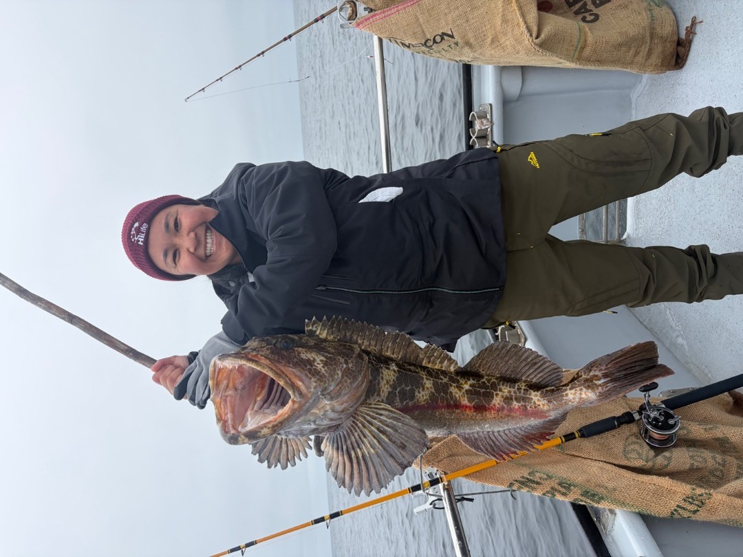 Rockfish/Limgcod