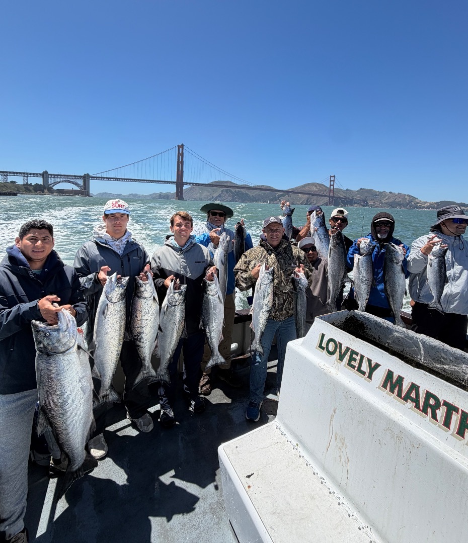 LIMITS OF SALMON!!!