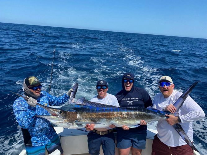 Striped Marlin up to 130 lbs.