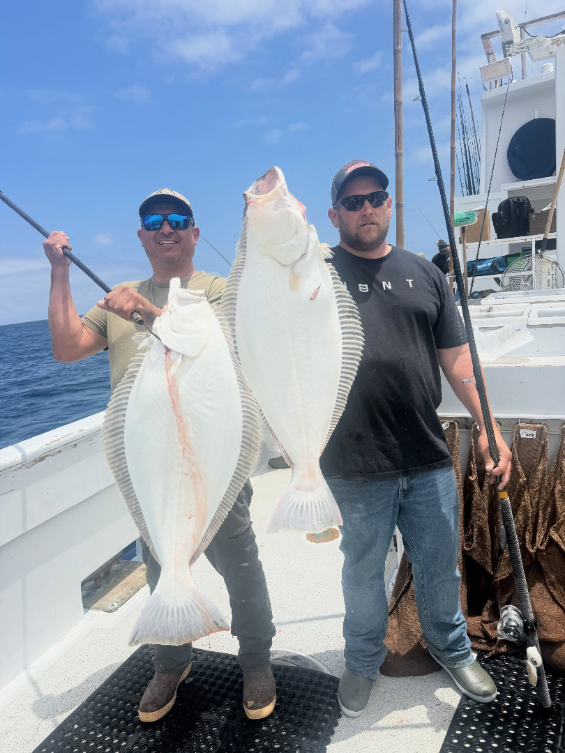 Fish report photo