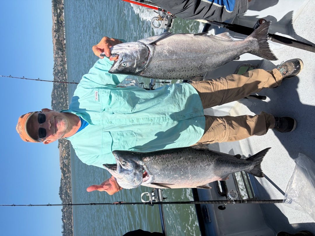 Salmon