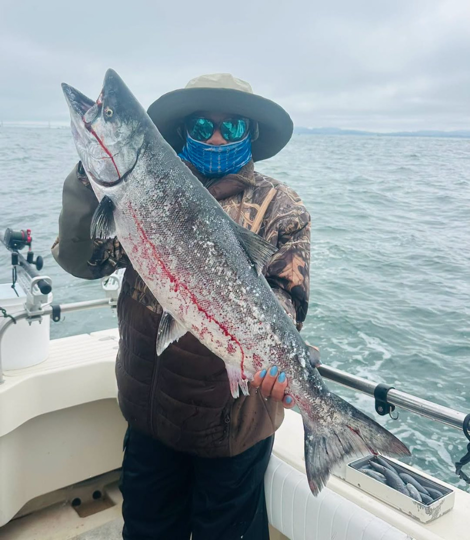 Outstanding salmon fishing for todays group