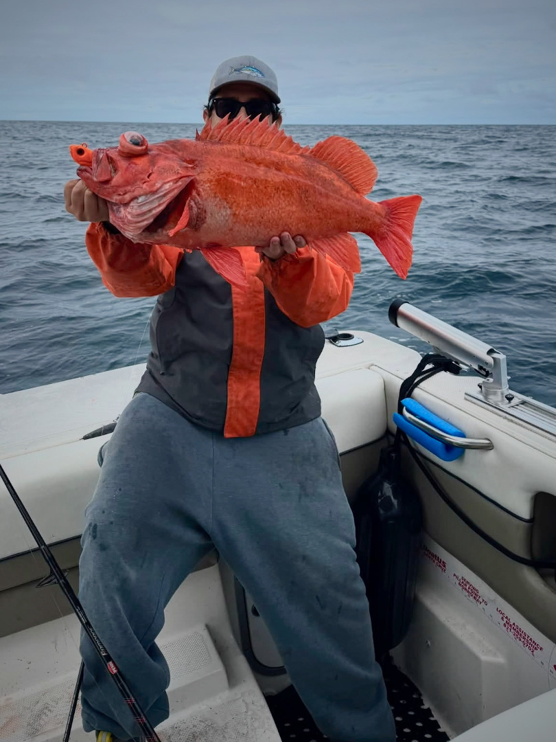 Monterey Bay Area delivering plenty of fishing fireworks