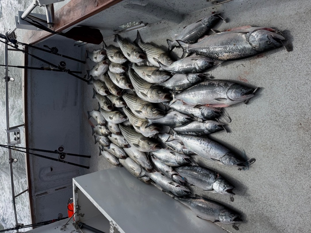 Salmon and Bass Trolling