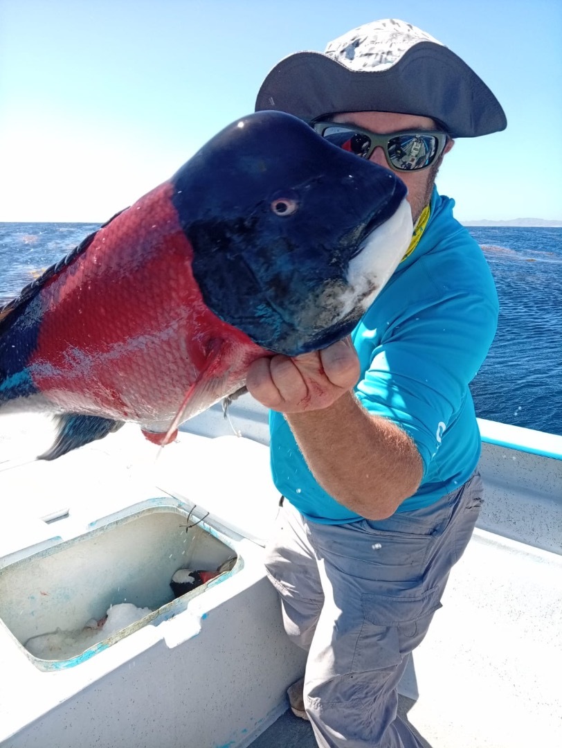 Limits of Sheephead… 