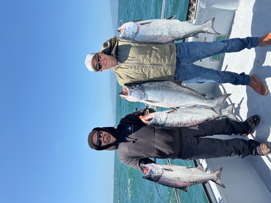 Salmon