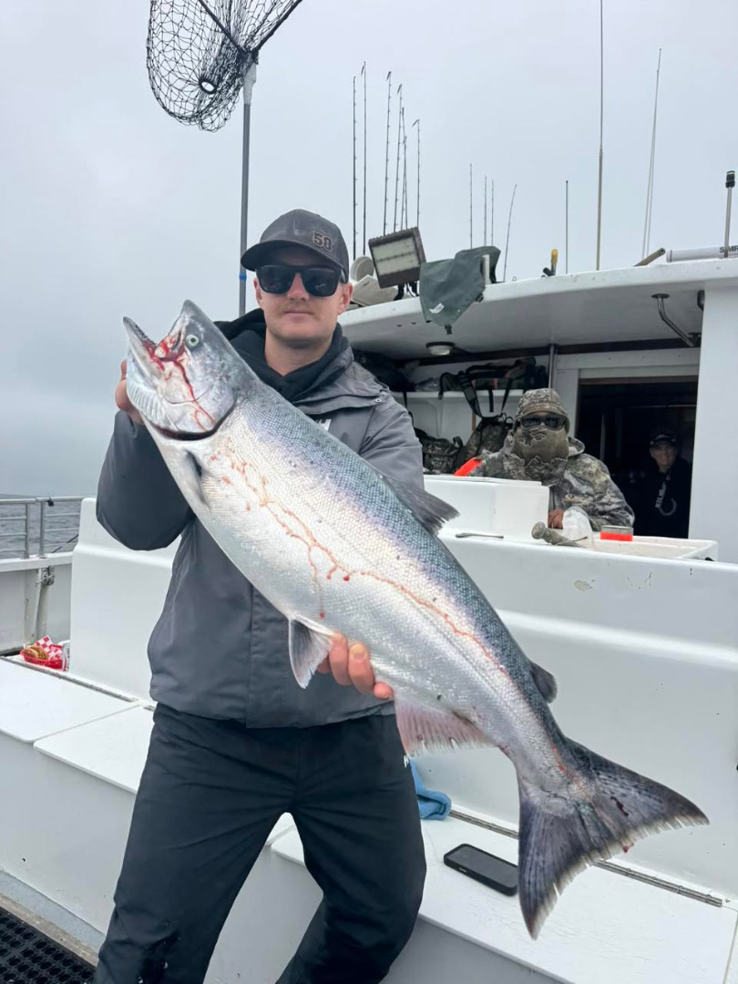Salmon up to 25 pounds