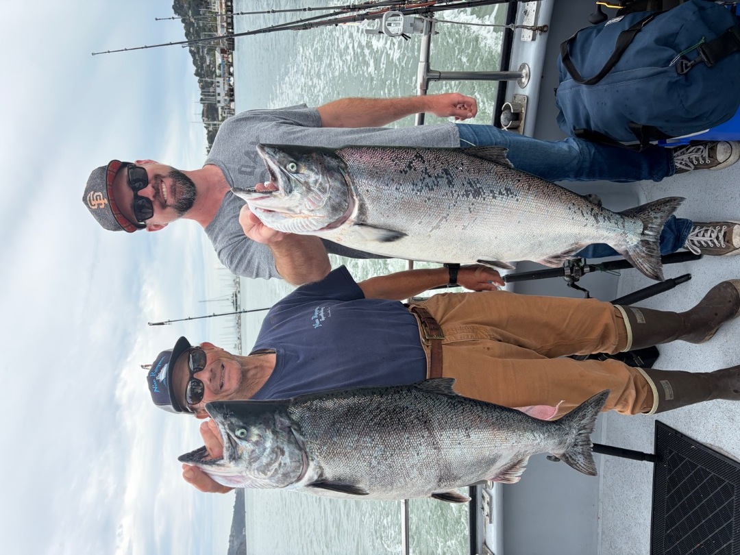 Salmon
